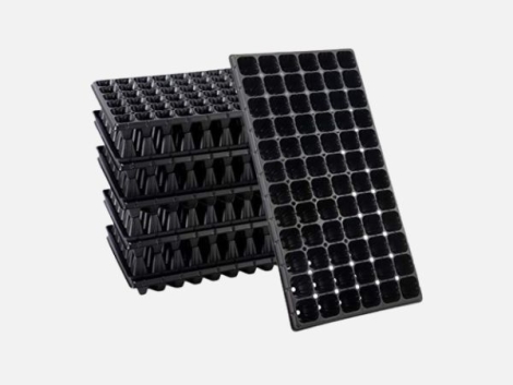 seed-tray-sunray-agro