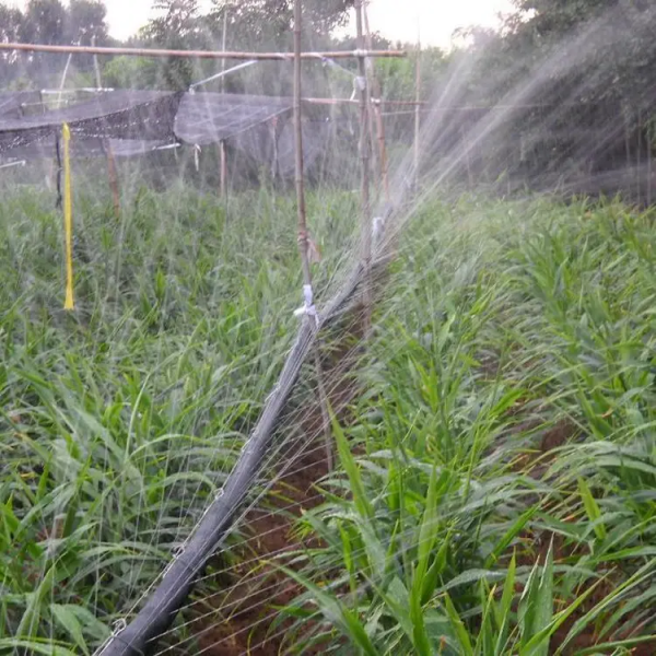 Rain Spray tape - Image 2